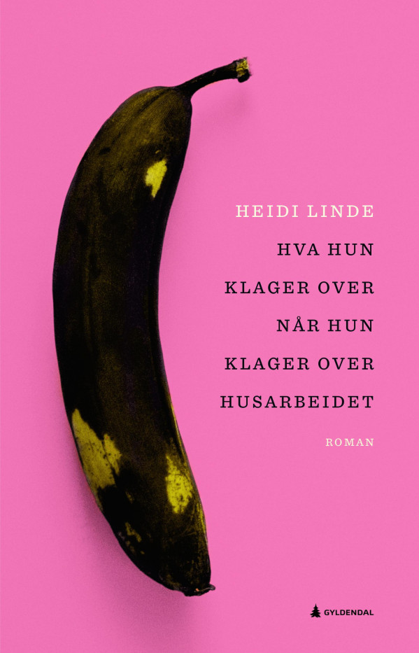 Hva hun klager over når hun klager over husarbeidet