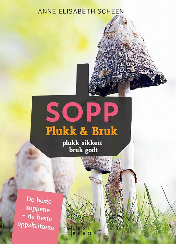 Sopp